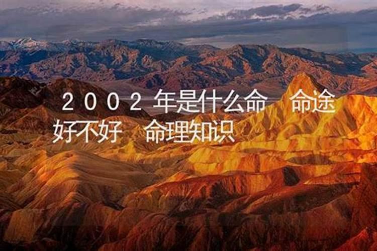 梦见老鼠扑向自己的预兆