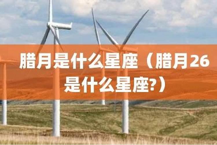 大师您好,我是87年腊月27出生的,阳历是88年2月14号。大约是下午4点出生...