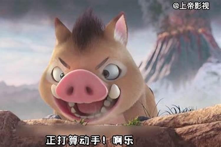 2025年属猪人全年运势