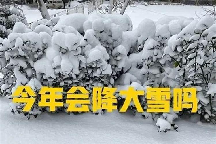 崔希真生平事迹