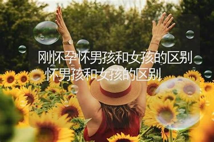 92年女猴2024年运势及运程每月运程