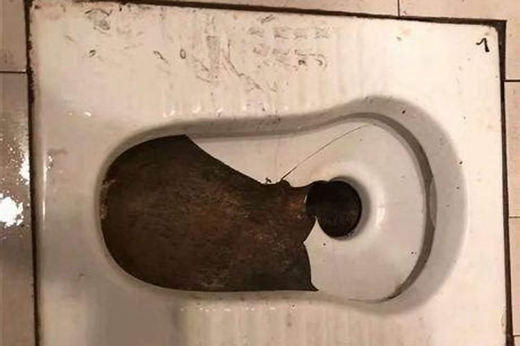 大限小限正确推算方法
