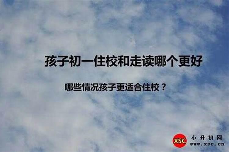 浙江省杭州西湖的抱朴道院与东晋道士葛洪有怎样的历史故事？