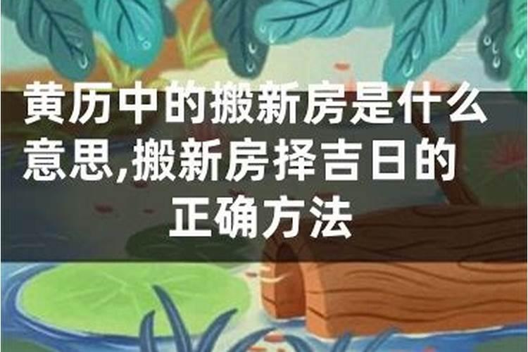 78年属马人2025年运势运程