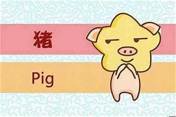 属猪的几点出生的孩子最好命 属猪的什么时辰出生命最好