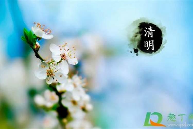 清明节的前三后四是怎么分的,清明那天算不算的？