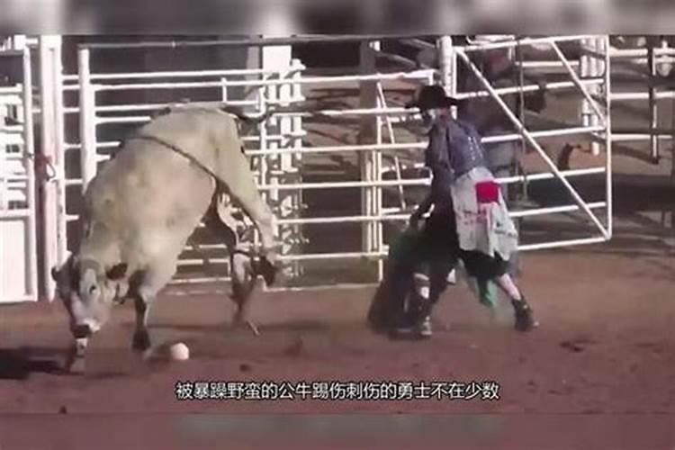 做梦梦到牛顶人还追人是什么预兆