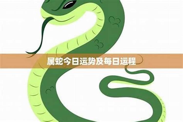 蛇人最吉利的出生时辰