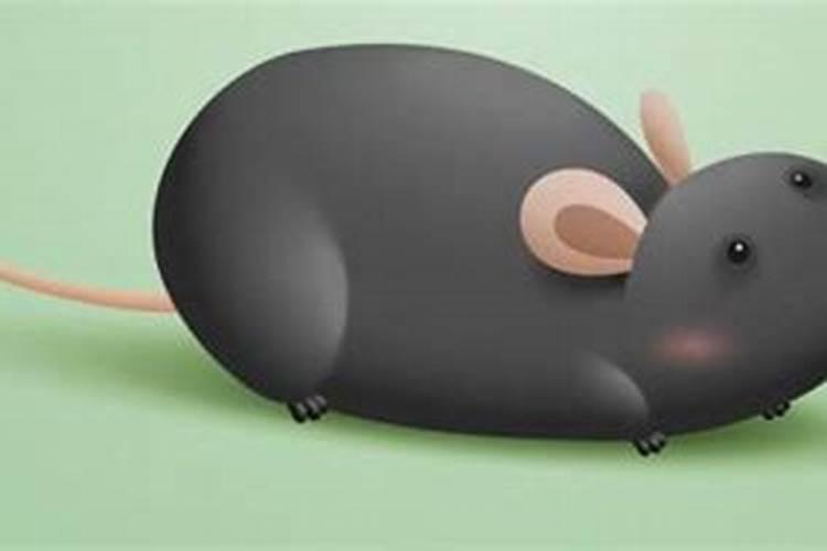 梦见小老鼠是什么征兆 梦见小老鼠是什么意思
