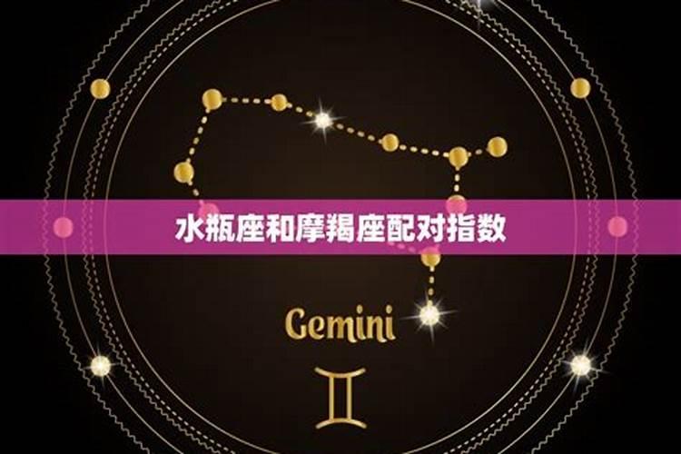命中注定的缘分,为什么狮子女大部分嫁给了摩羯男？