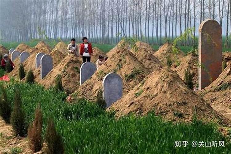 属羊人最倒霉的几年