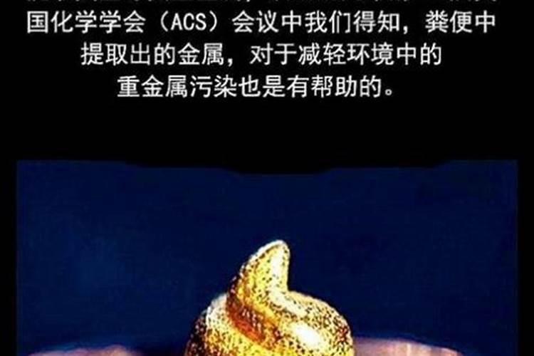 做梦梦见粪便意思是什么 做梦梦见粪便是什么意思