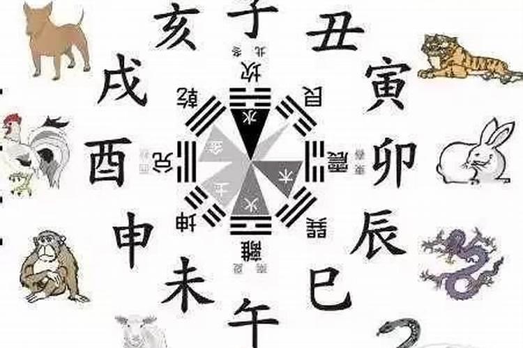 梦五行属性是什么