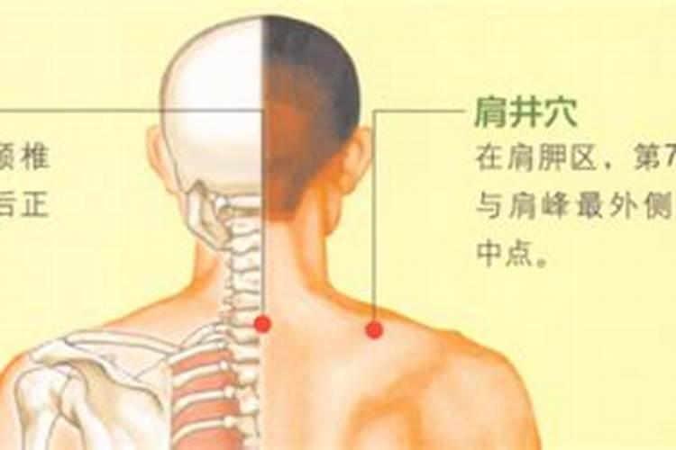 我是76年腊月初一出生的,请问我是属啥的？有人说我是属小龙也就是蛇对...