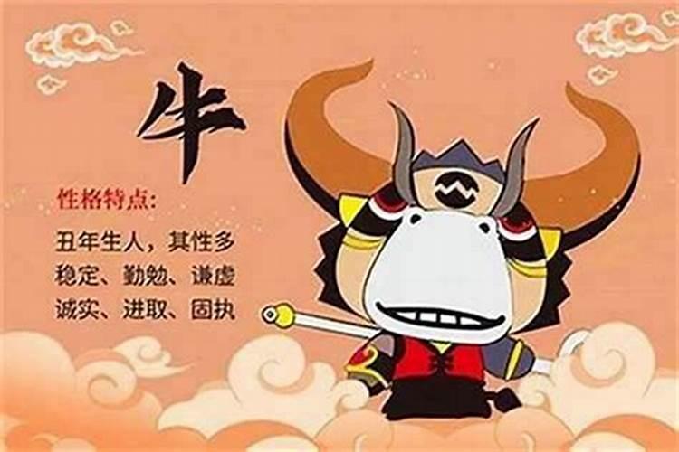 孕妇梦见失联的亲人回来了