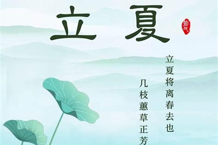 女版命5.6两命运详细解释