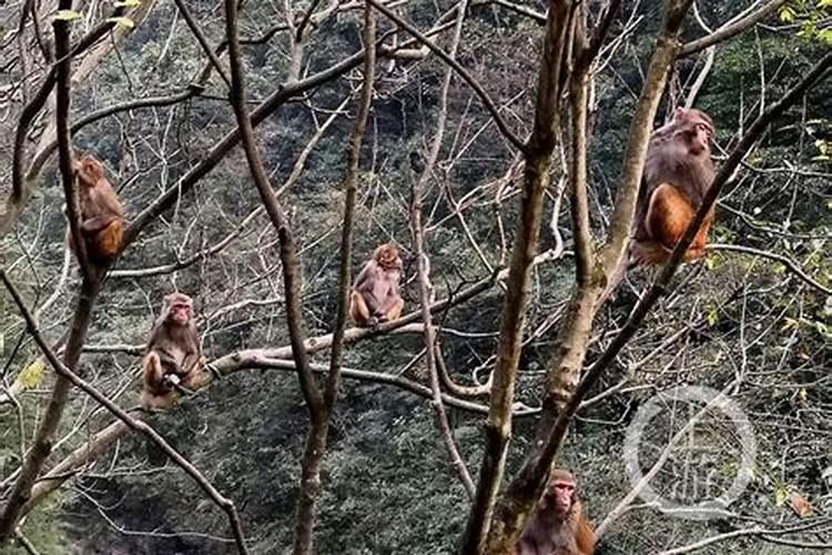 古代的子时是几点到几点