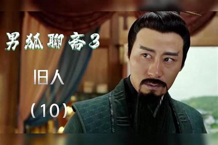 猪和蛇真的相冲吗