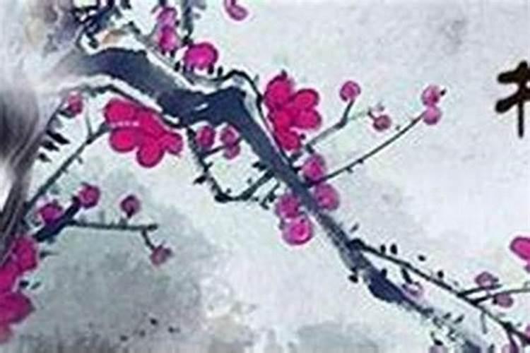 桃花劫和雾水桃花什么意思 桃花劫和雾水桃花的意思