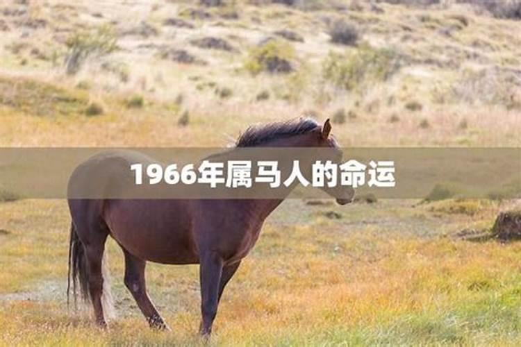 1966年属马2025年运势及运程