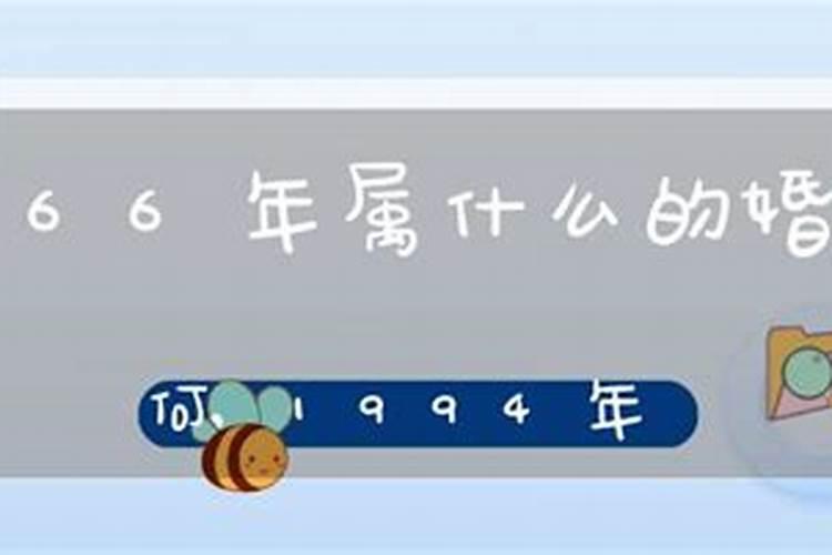 66年属相和什么配最好