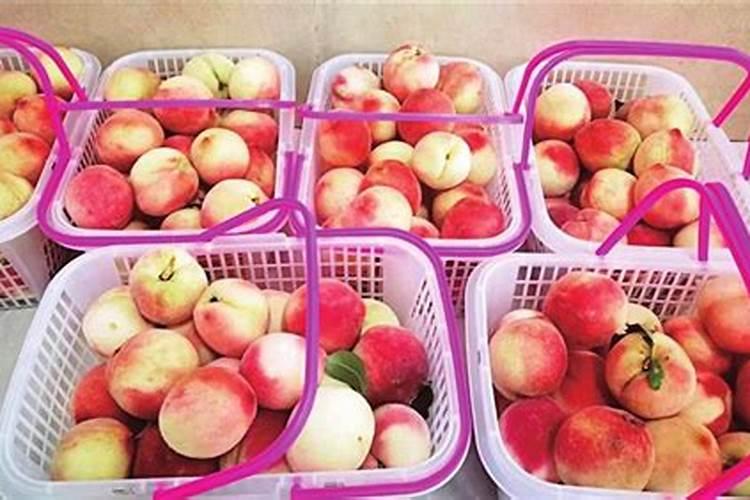 夏至吃什么水果 夏至有哪些时令水果