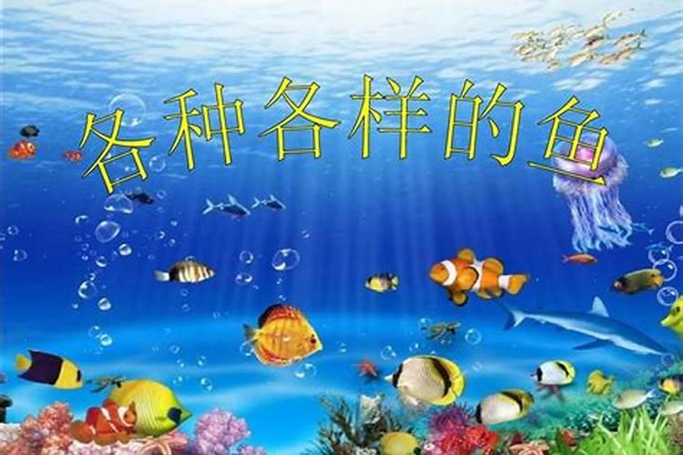 梦见水里有成群的鱼