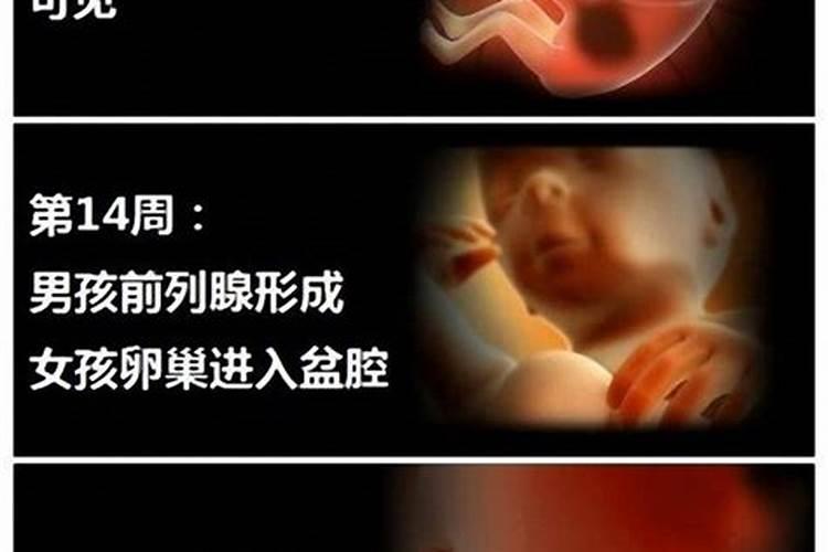 太岁水的功效与作用