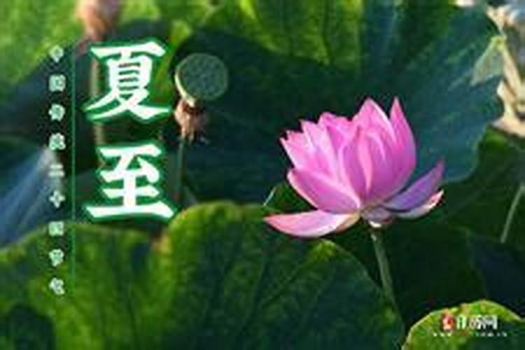 2024夏至是几月几日几点 夏至的谚语