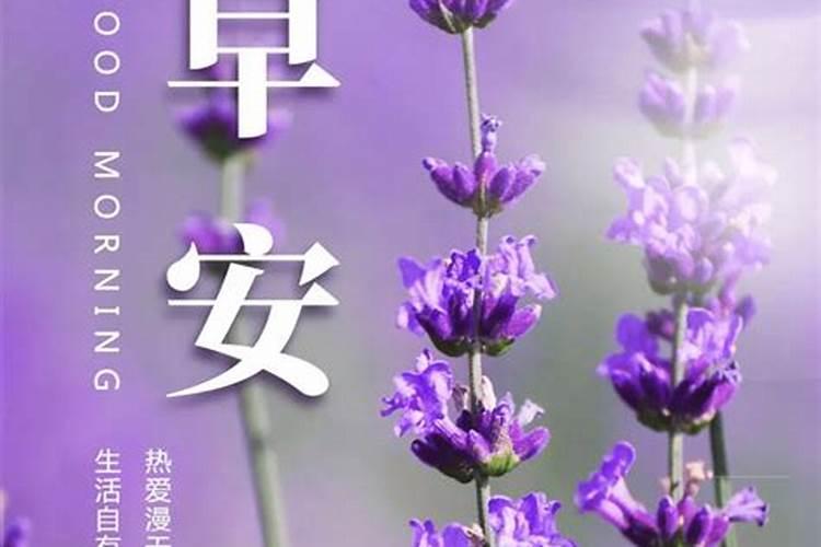 梦见蜈蚣是什么预兆 女性