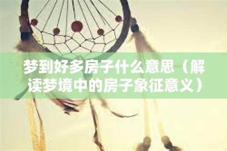 生肖猴2025年全年运势及月份运程