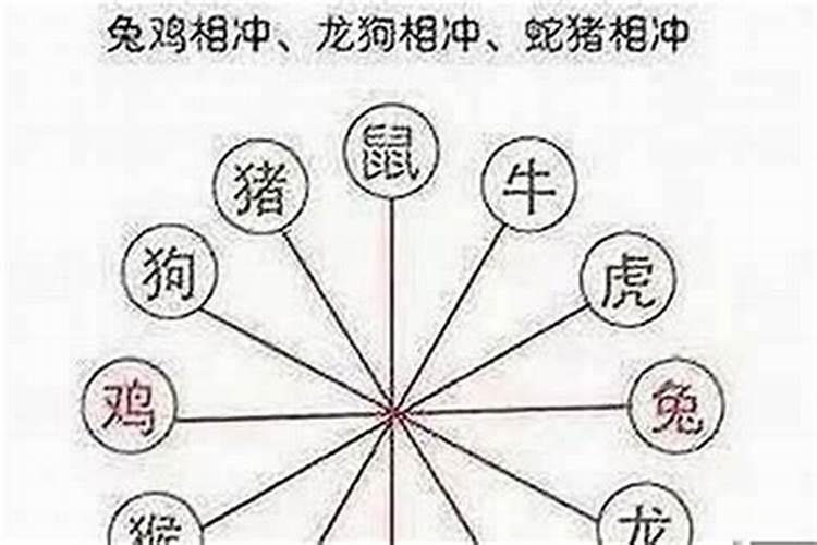 为什么立秋要吃西瓜