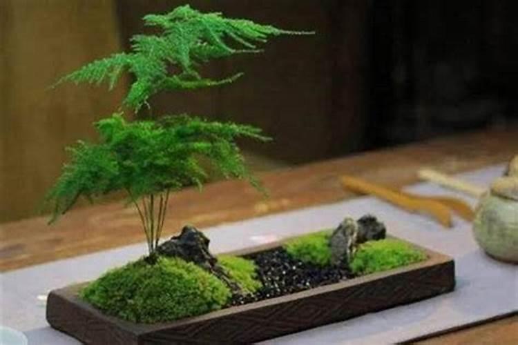 高考来临,如何为考生开运、助学业、生旺考试运