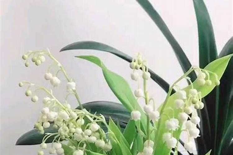 做梦梦到初中同学是什么意思