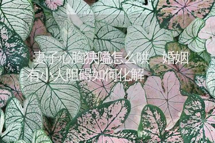婚姻有小人是什么意思？