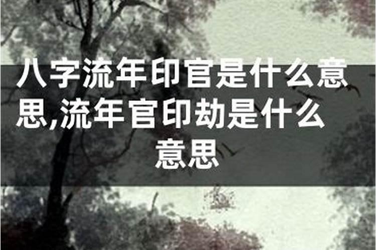 流年是官印劫是什么意思