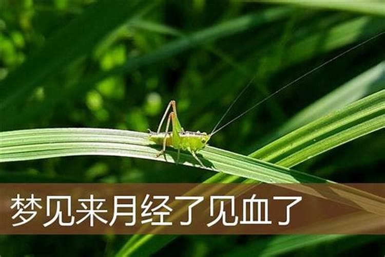 连续梦到一个人两次意味着什么？