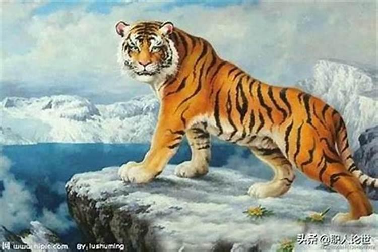 属虎和属猴相冲怎样化解？ 寅虎与申猴相冲