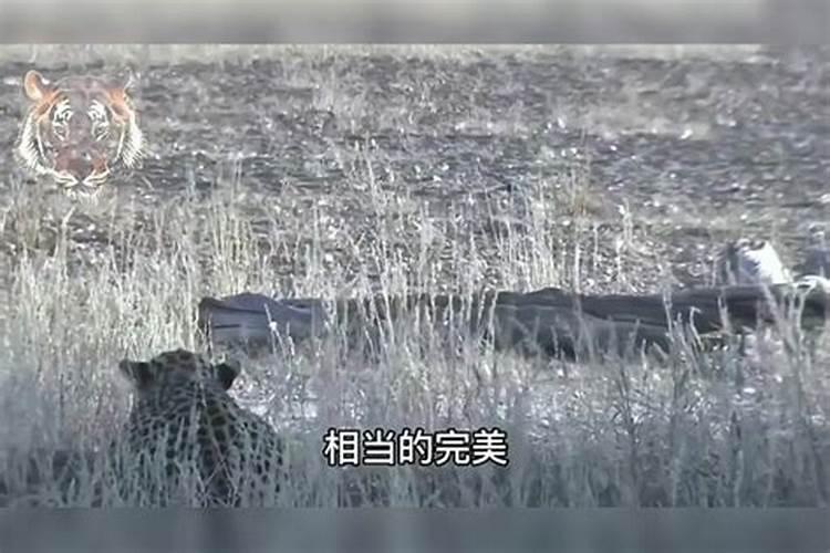 佛说为什么有的人两耳不一
