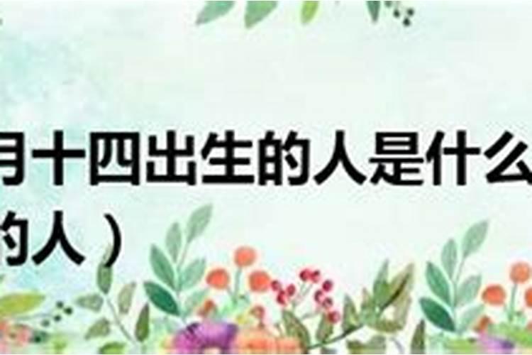 2025属猪人的全年运势如何