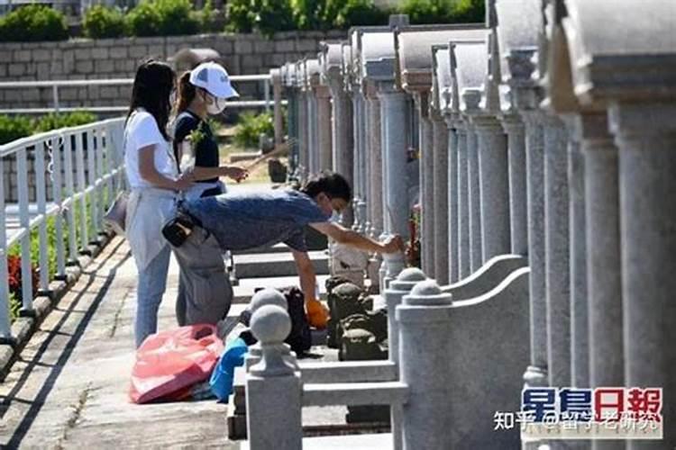 立春了如何选择饵料钓鲤鱼