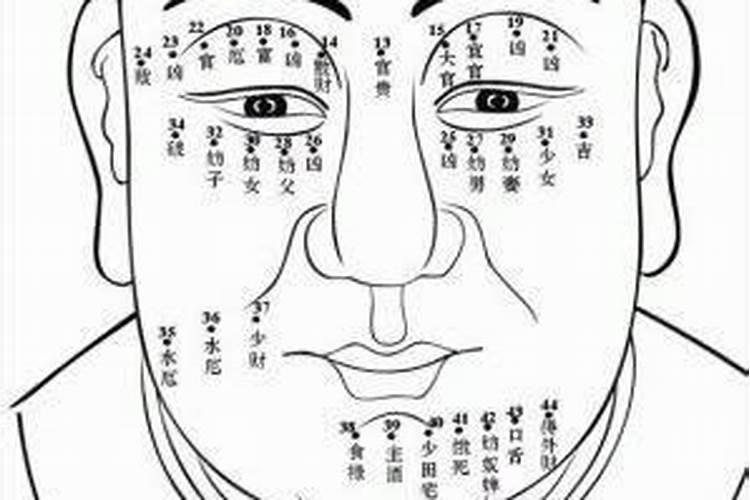 男人左手手纹算命图解怎么看 主要看手相的手纹脉络？