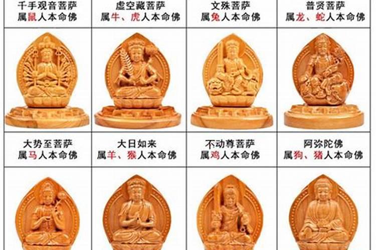 十二生肖守护神