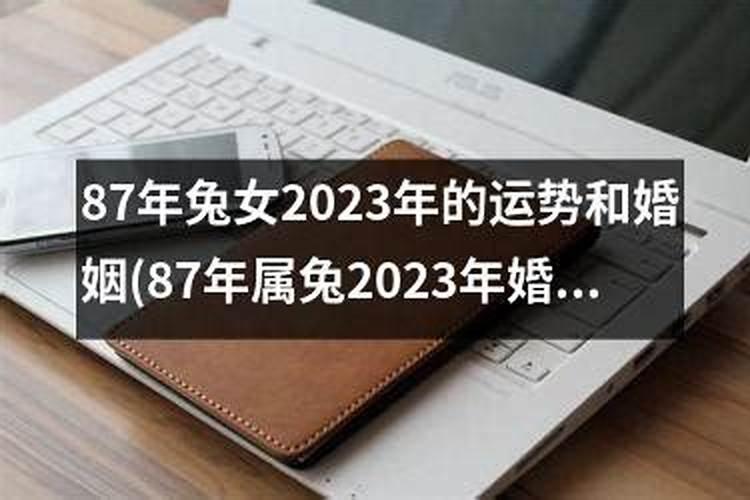 1987年属兔女婚姻顺不顺 1987年出生的属兔女婚姻状况详解