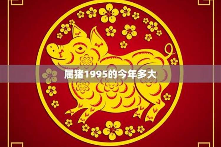 生肖猪1995年2025年运势如何 生肖猪1995年2025年全年运势