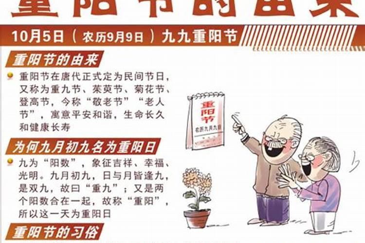 红烧鸡制作方法步骤