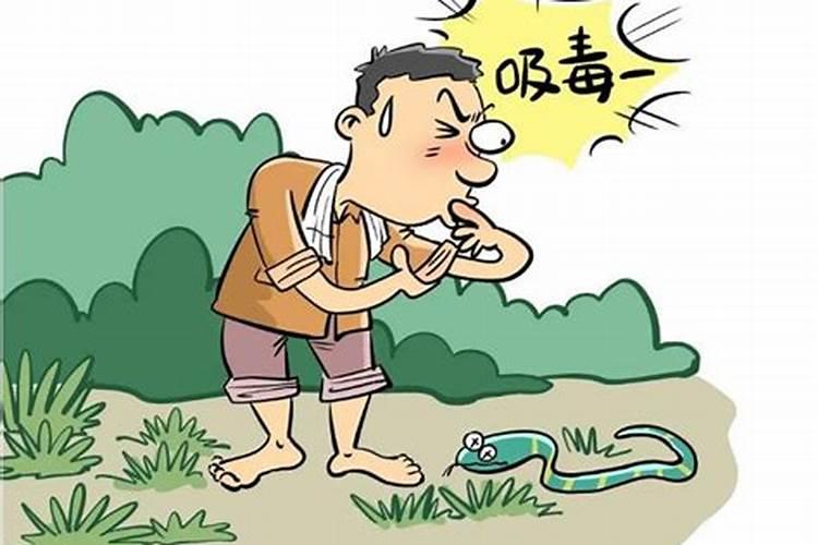 梦见女子身上缠蛇的预兆