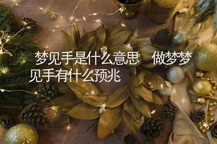 梦见乌龟咬了自己的预兆