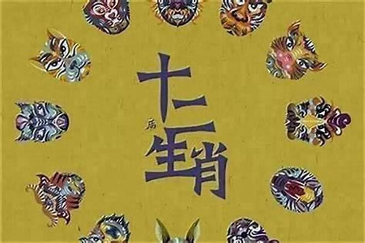 属兔运气最好的月份