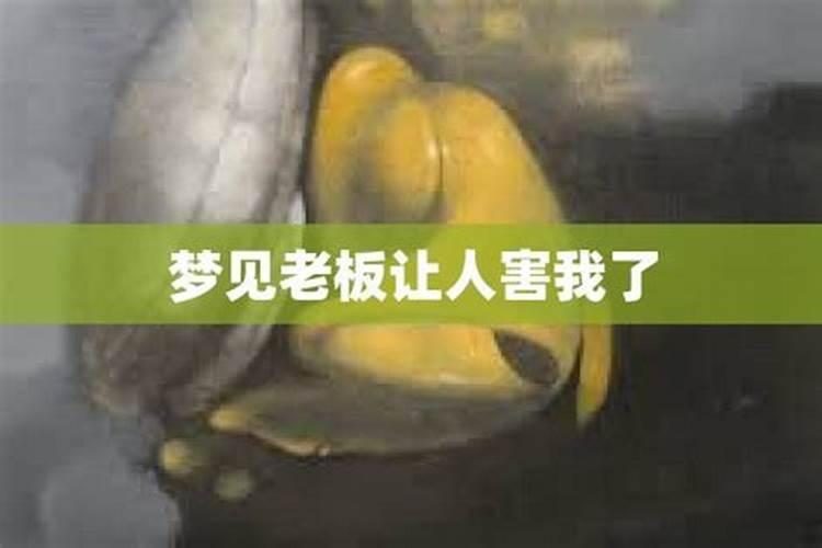 梦见找工作是什么预兆